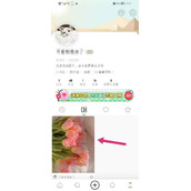 绿洲app怎样将动态置顶