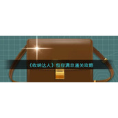《收纳达人》包你满意通关攻略