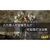 八方旅人经验猫怎么打？经验猫打法攻略