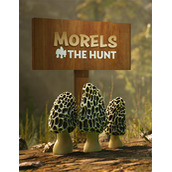 Morels: The Hunt