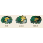 原神3.0三相众物是什么