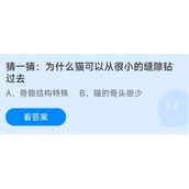 蚂蚁庄园8月18日答案一览-蚂蚁庄园8.18猜一猜：为什么猫可以从很小的缝隙钻过去