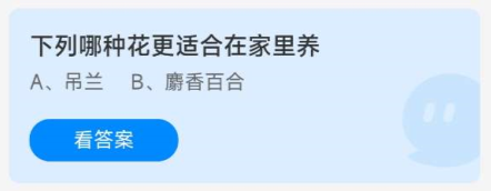 《蚂蚁庄园》8.19下列哪种花更适合在家里养