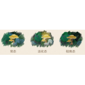 原神3.0三相众物是什么-原神3.0三相众物全面解析