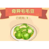 《摩尔庄园手游》奇异毛毛豆食谱分享