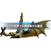 千刃龙的寸止挑战是什么意思-千刃龙的寸止挑战是什么梗