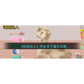 《收纳达人》羊驼来了通关攻略
