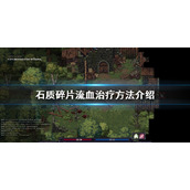 《石质碎片》流血怎么办？流血治疗方法