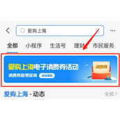 支付宝怎么领取2022爱购上海电子消费券