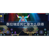 泰拉瑞亚死亡草怎么获得