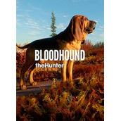 theHunter Call of the Wild Bloodhound