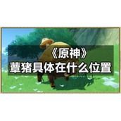 《原神》蕈猪具体在什么位置