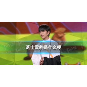 我和我的动物朋友丁真台词-芝士雪豹梗出处