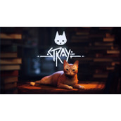 《迷失Stray》游戏总体流程时间
