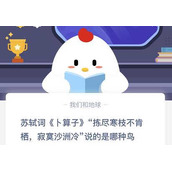 苏轼词卜算子说的是哪一种鸟