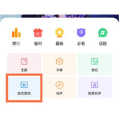 一加AcePro动态壁纸怎么设置