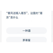 春风送暖入屠苏的屠苏是什么意思