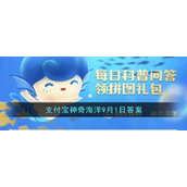独角鲸的角其实是它的
