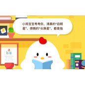 启明星是什么星