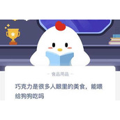 巧克力能喂给狗狗吃吗