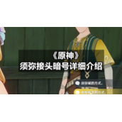 《原神》须弥接头暗号详细介绍