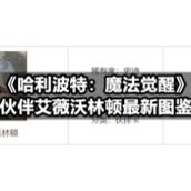 《哈利波特：魔法觉醒》伙伴艾薇沃林顿全新图鉴