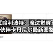 《哈利波特：魔法觉醒》伙伴卡丹尼尔全新图鉴