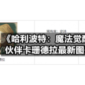 《哈利波特：魔法觉醒》伙伴卡珊德拉全新图鉴