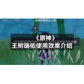 《原神》王树瑞佑使用效果介绍