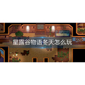 星露谷物语冬天怎么玩