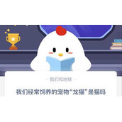 我们经常饲养的宠物龙猫是猫吗