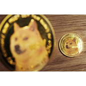 kishu币最新消息(kishu币最新动态)