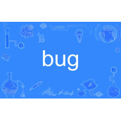 bug含义解析