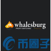 WBT币/Whalesburg是什么-WBT官网、白皮书和团队简介