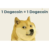 doggy币行情(doggy币行情是国外的吗)