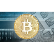比特币曾经价格详细解答