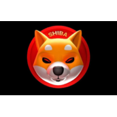 柴犬币未来5年大致价格推理