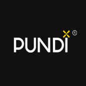 NPXS/Pundi X前景如何-NPXS币团队、亮点和运用场景介绍