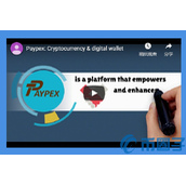 PAYX是什么币-PAYX币官网总量及上线交易所介绍