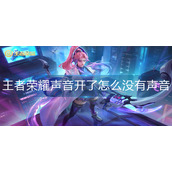 王者荣耀声音开了怎么没有声音
