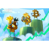 比特币看涨期权是什么意思
