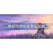 梦幻西游化生怎么加点