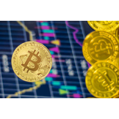 盘点：持有比特币数量最多的前20名是哪些人！