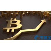 比特币挖矿机显卡是什么-比特币挖矿机显卡寿命