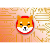 柴犬币2023年价格大致解答