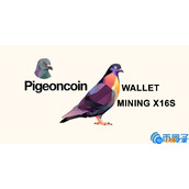 鸽子币(PGN)是什么币？PGN币上线交易所和官网总量介绍