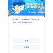 神奇海洋9月9日问题答案分享-神奇海洋以下哪种海洋动物不仅能发声而且声音格外响亮