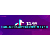 我的第一次泪如泉涌给了未闻花名梗出处含义介绍