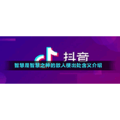 智慧是智慧之神的敌人梗出处含义介绍
