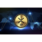 kishu最新信息(kishu最新动态)